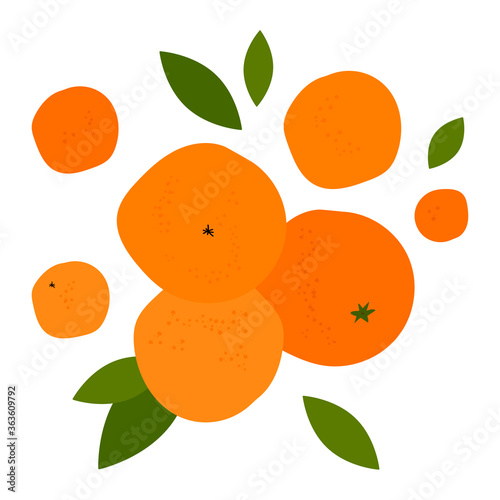 illustration with bright orange citruses. ripe oranges, tangerines and leaves. modern abstract design for packaging, print for clothes, fabric