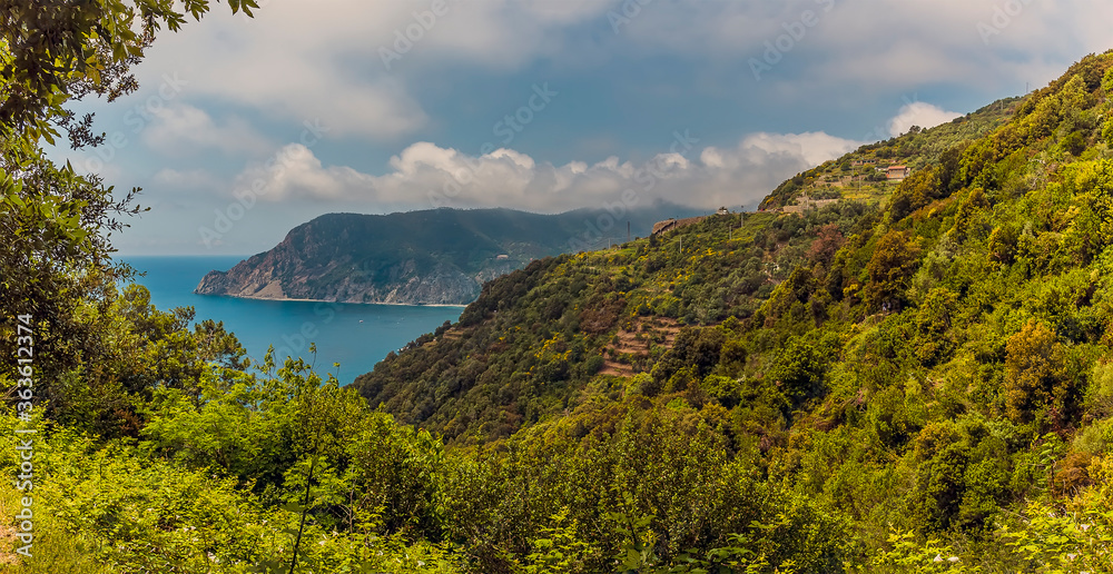 A panorama view north along the Monterosso to Vernazza path in summertime