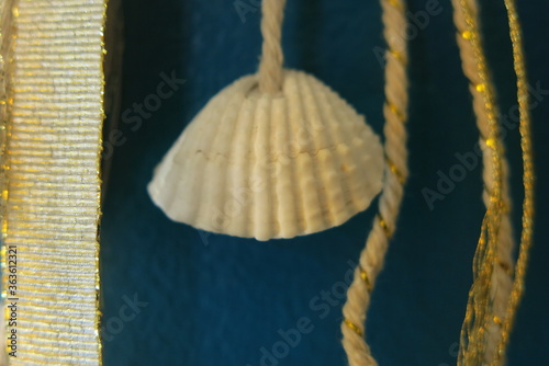 Petit coquillage blanc de décoration