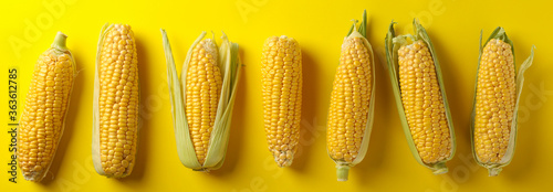 Fresh raw corn on yellow background, top view