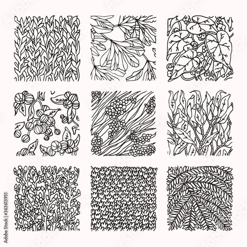 Floral ornaments and botanical textures. Design elements for organic branding, wedding invitation, greeting card, fashion textile and floral prints. Hand drawn subtropical plants patterns vector set.