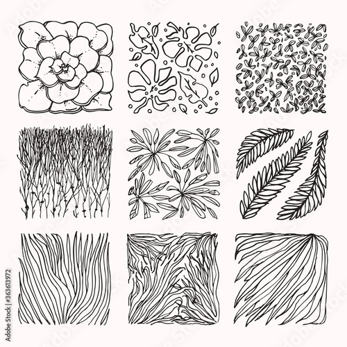 Plant, flower textures, tropical forest ornaments. Botanical design elements for organic branding, invitation, greeting card, textile floral prints. Hand drawn subtropical plants patterns vector set.