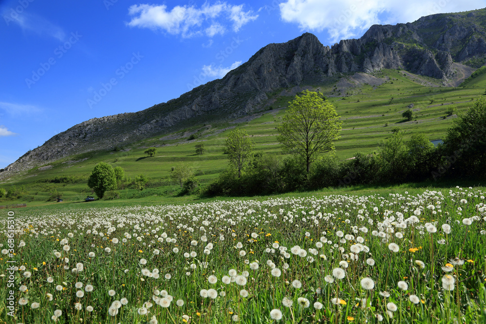 Obraz premium Spring landscape in Piatra Secuiului Mountain (1129m), Transylvania, Romania, Europe