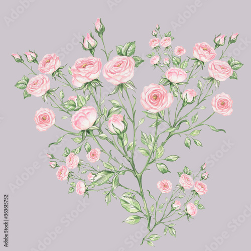 Bouquet of roses. Beautiful sketch for design and decoration. 