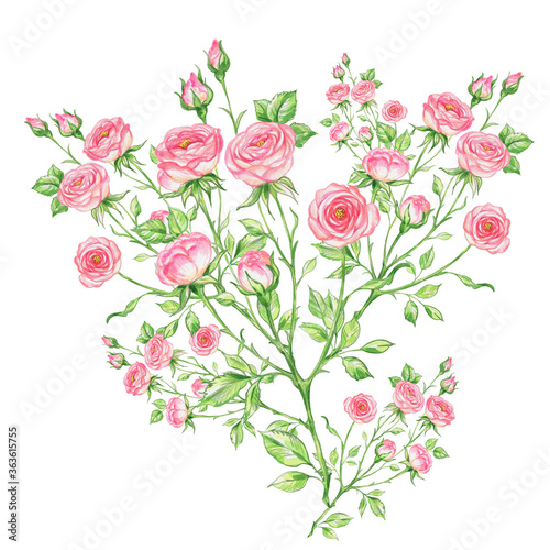 Bouquet of roses. Beautiful sketch for design and decoration. 