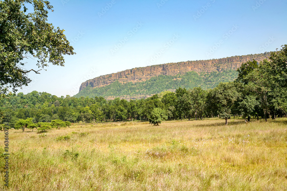 Bandhavgarh Hill in Bandhavgarh Tiger Reserve, Madhya Pradesh, India.