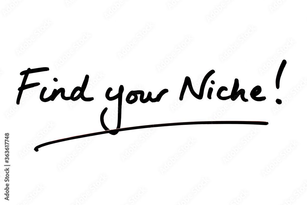 Find your Niche! Find your Niche!