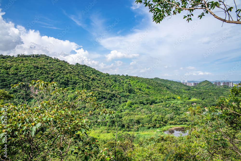 Scenery of Huangshanlu Forest Park in Nansha, Guangzhou, China Scenery of Huangshanlu Forest Park in Nansha, Guangzhou, China