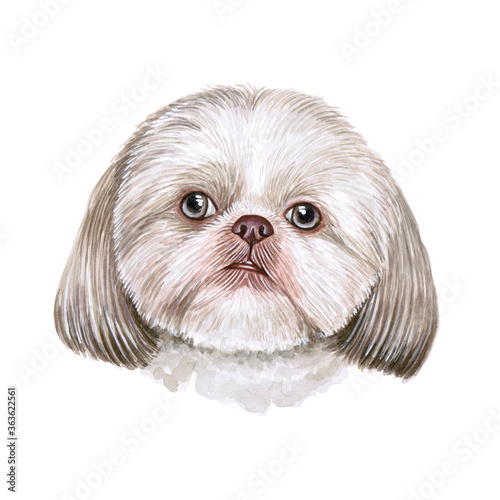 Bild auf Leinwand Watercolor illustration of a funny dog