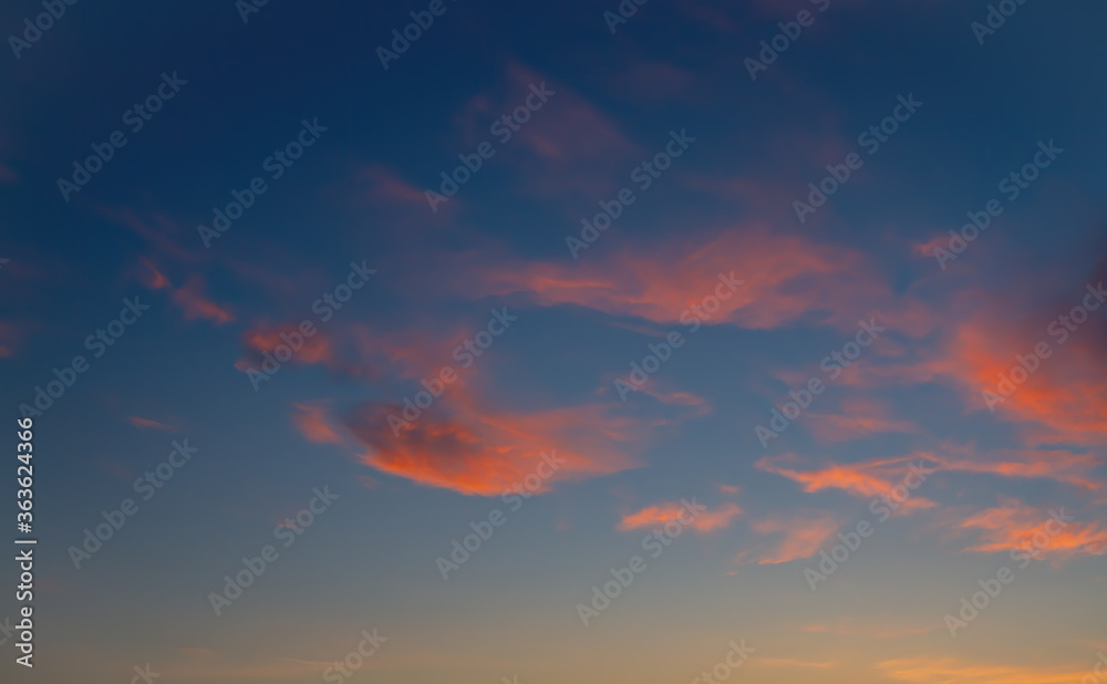 Light orange clouds in the rays of the setting sun. The dark blue sky. Beautiful natural background.