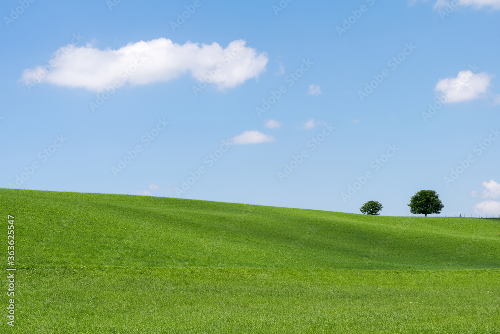 Minimalistisches Landschaftsbild mit grüner wiese und zwei Bäumen