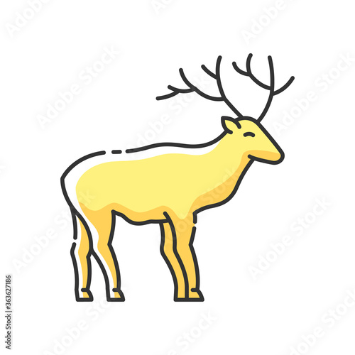 Deer RGB color icon. Hoofed ruminant mammal, herbivore animal with beautiful antlers. Forest wildlife. Majestic reindeer, horned stag isolated vector illustration