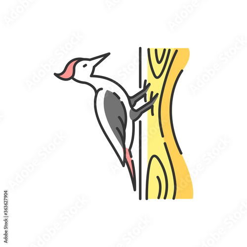 Woodpecker RGB color icon. Common bird, forest inhabitant, flying woodland creature. Zoology, ornithology. Pecker sitting on tree isolated vector illustration photo