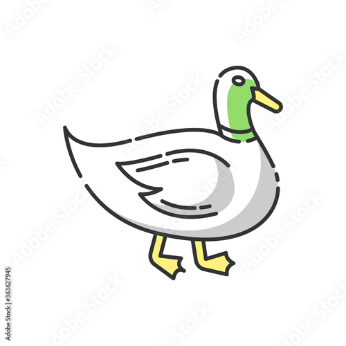 Duck RGB color icon. Common wild waterfowl, domestic bird. Migratory animal, pond inhabitant. Poultry farm, husbandry. Mallard, quack isolated vector illustration