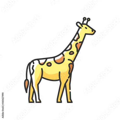 Giraffe RGB color icon. Exotic animal with long neck  african herbivore wildlife. African savanna  tropical zoo. Tall camelopard isolated vector illustration
