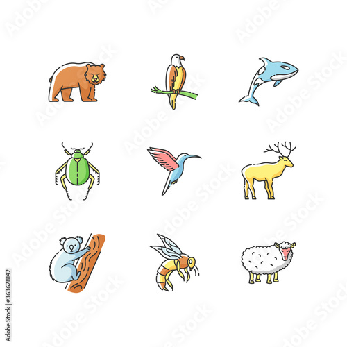 Animal species RGB color icons set. Flying birds, land animals and sea creatures. Diverse wildlife, exotic and ordinary fauna. Isolated vector illustrations