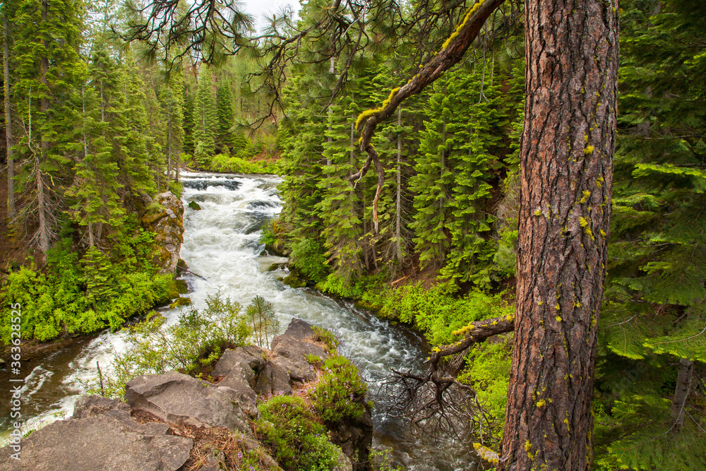Benham Falls on Deschutes River near Bend, Oregon Benham Falls on Deschutes River near Bend, Oregon