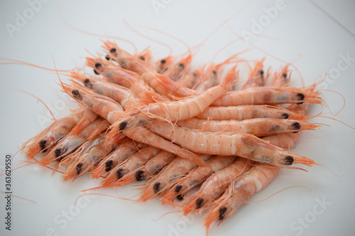 Foto Gamba blanca cocida