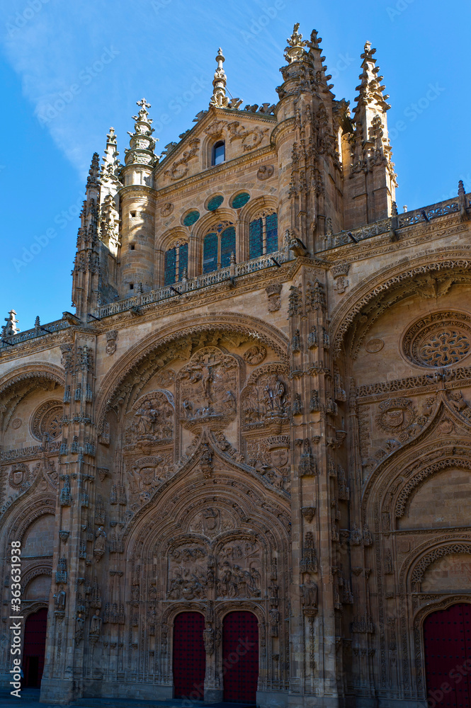 Salamanca Cathedral, Salamanca, Castile and León region, Spain