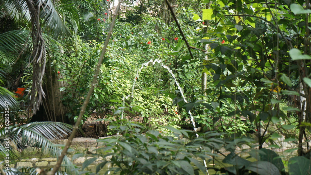 Fototapeta premium SONY DSC