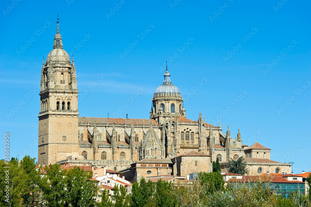 Salamanca Cathedral, Salamanca, Castile and León region, Spain