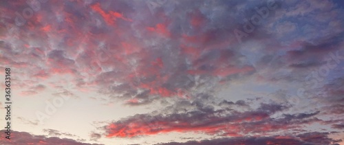 Sunset with pink clouds looking upwards to the sky