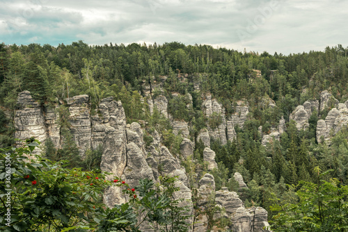 Sandstone Bastei rocks at Saxon Switzerland National Park in Germany.