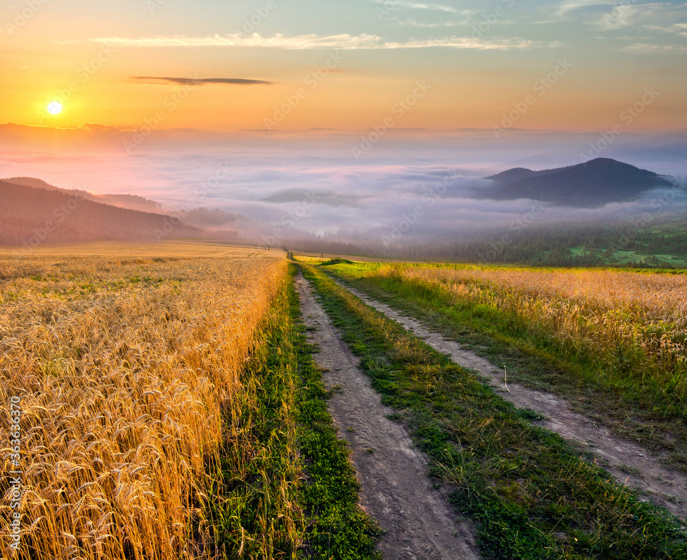 Fototapeta premium Gravel dirt road between wheat fields stretching to distant mountains on horizon.