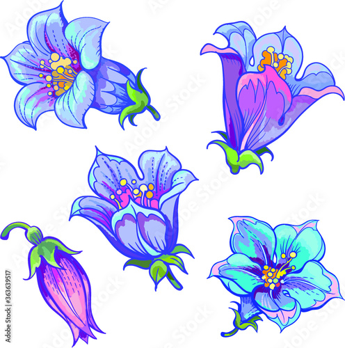 Vector set of isolated bellflowers
