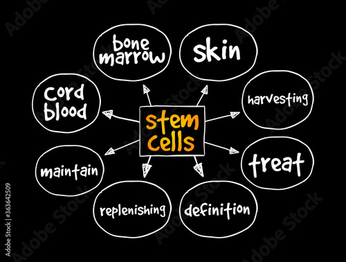 Stem Cells mind map, medical concept for presentations and reports