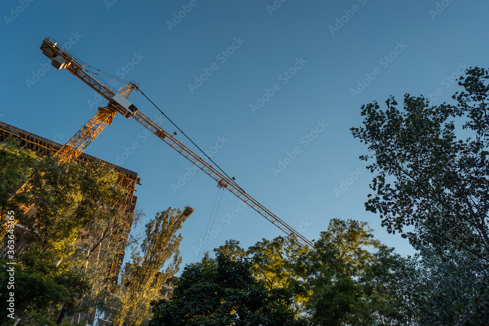 modern construction crane work on site and build skyscraper in forest outdoor