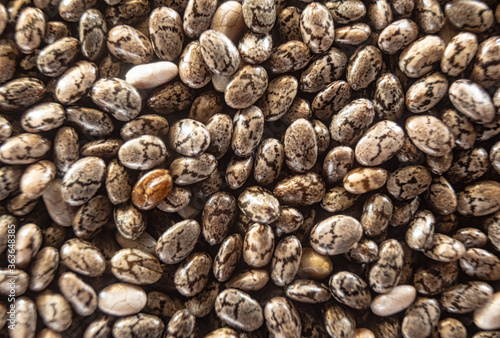 Fullscreen macro closeup with shallow depth of field of chia seeds. Texture. Graphic design.
