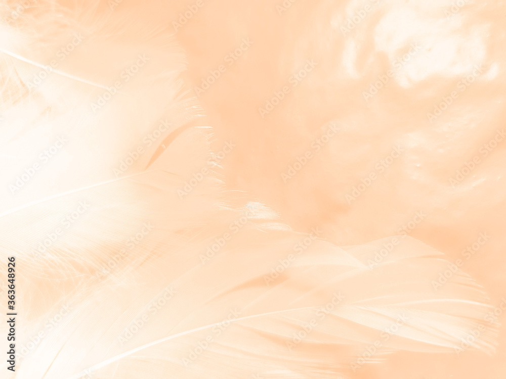 Obraz premium Beautiful abstract white and light orange feathers on white background, soft brown feather texture on white patter, yellow feather background