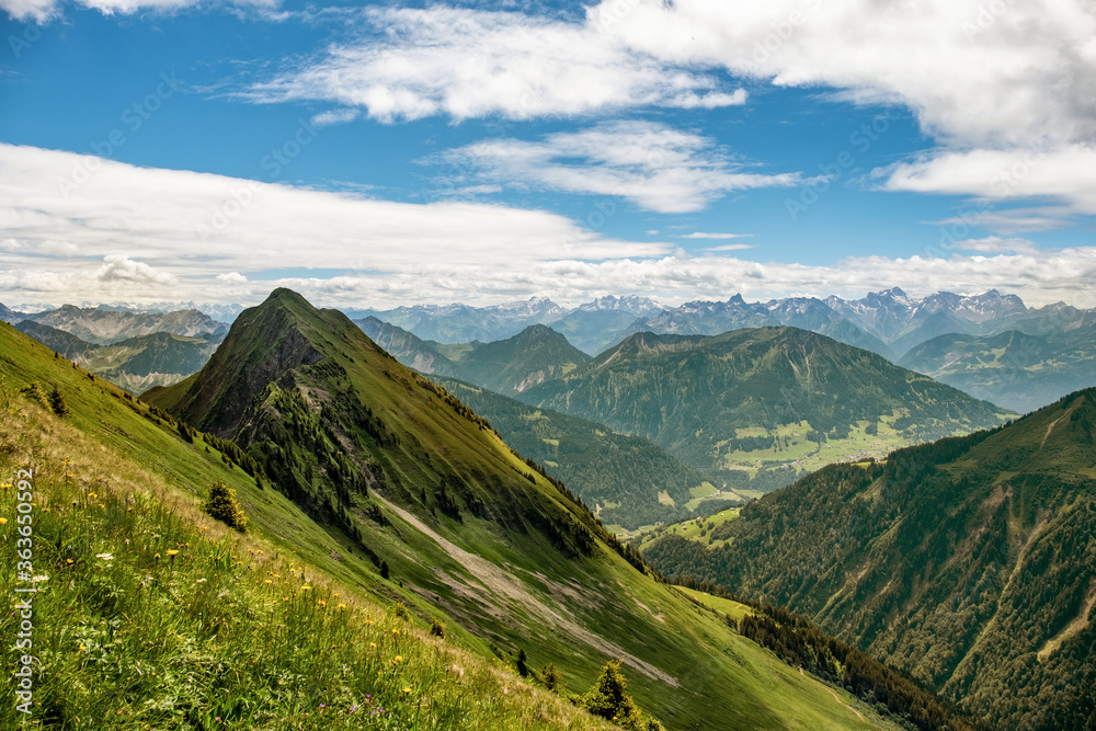 Fototapeta premium Alpenpanorama
