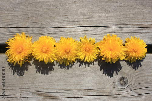 Fototapeta Naklejka Na Ścianę i Meble -  bouquet of yellow flowers