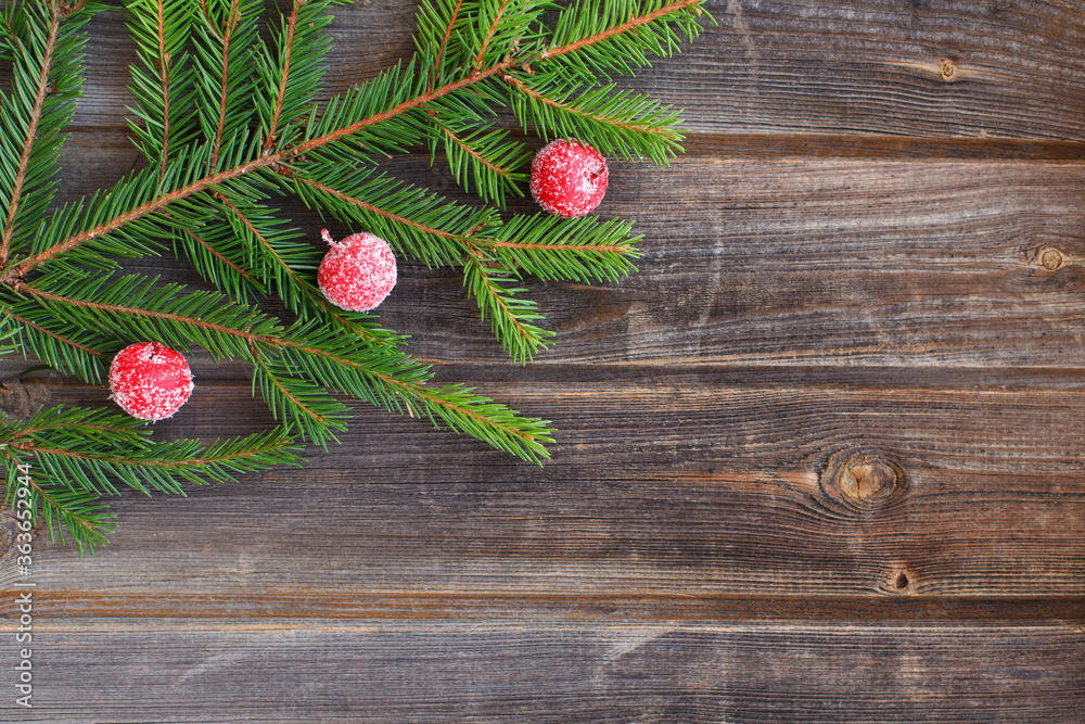 New year flat lay: Christmas green spruce branch of new year tree with red sugar snow apples on a rustic wooden background