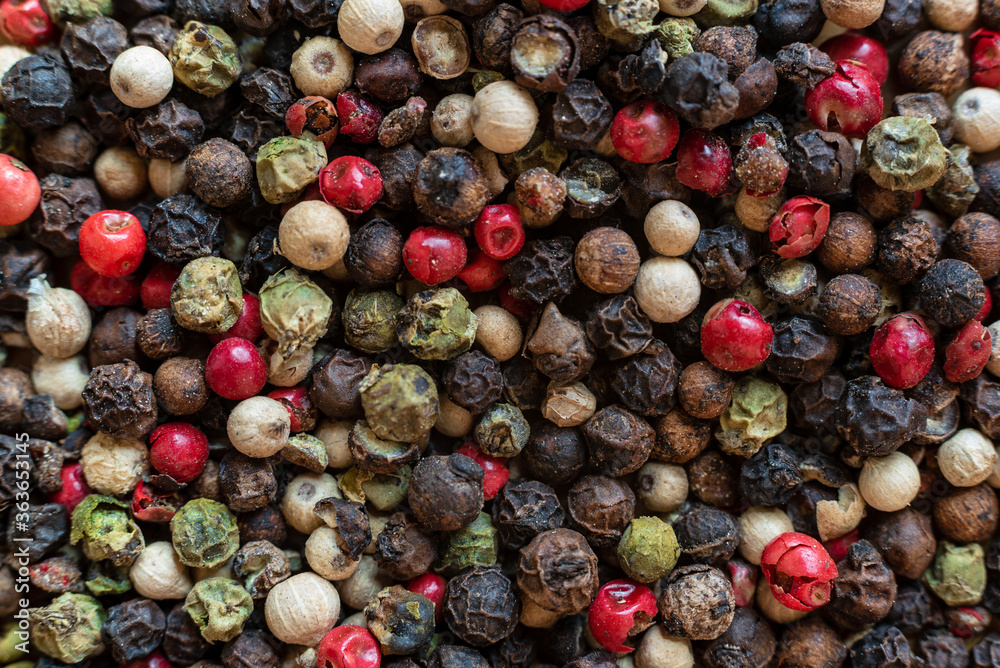 Fullscreen macro closeup with shallow depth of field of unmilled red, green, white and black peppercorns Fullscreen macro closeup with shallow depth of field of unmilled red, green, white and black peppercorns