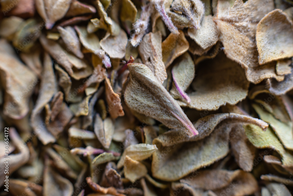 Fullscreen macro closeup of dried oregano. Food seasoning. Texture. Graphic design.