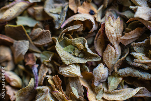Fullscreen macro closeup of dried oregano. Food seasoning. Texture. Graphic design.