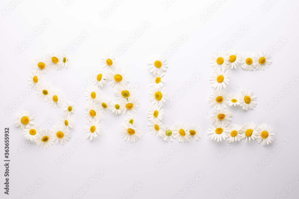 Inscription SALE composed of chamomile or daisy flowers on white background.Top view.