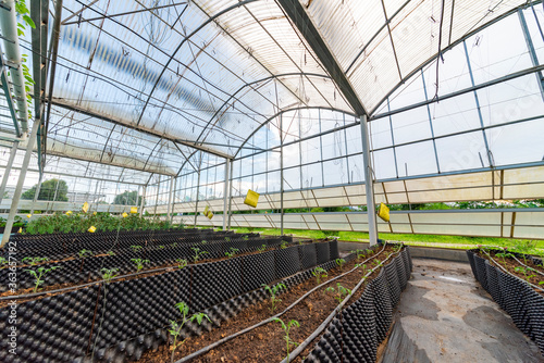 Agricultural plants grown in a modern greenhouse. © 一飞 黄