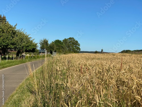 Straße am Feld am Horizont blitzt die Spitze vom Turm der Weggentalkirche hervor photo