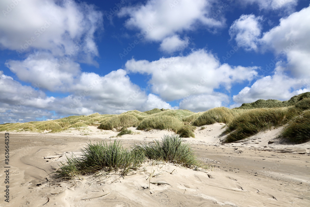 The beautiful Danish beach on the North Sea in North Jutland