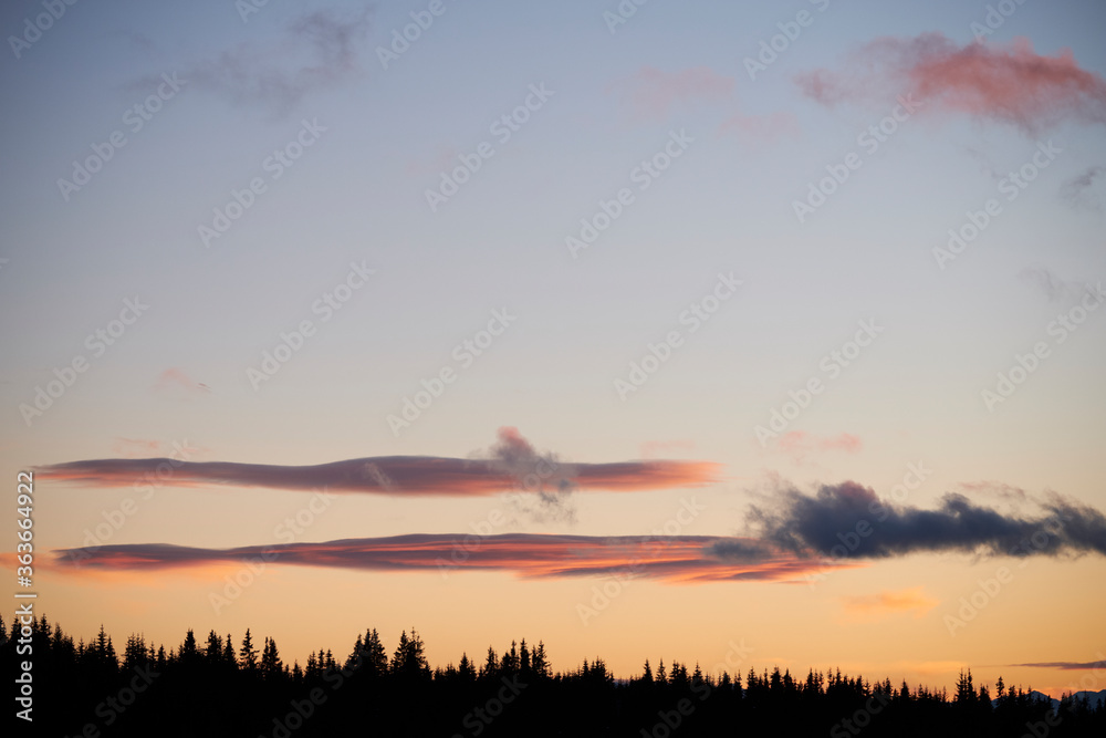 Sunset Clouds And Forest Silhouette Sunset Clouds And Forest Silhouette