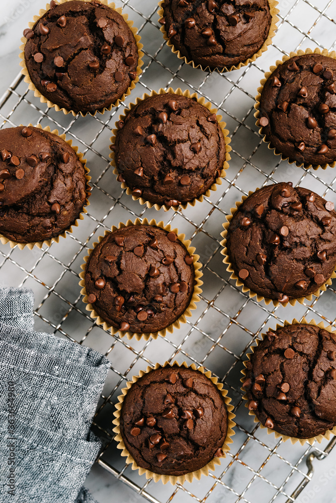Chocolate Pumpkin Muffins Overhead Chocolate Pumpkin Muffins Overhead