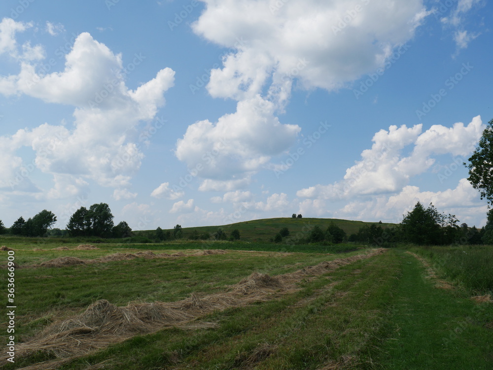 Obraz premium counryside and blue sky with clouds