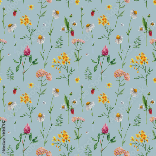 Meadow flowers in watercolor