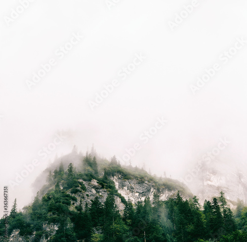 Swiss Alps - Fog Kissing Fir Trees photo