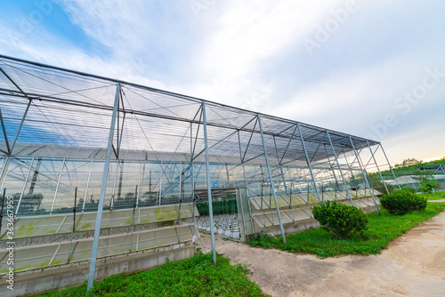 The greenhouse of modern agriculture is under the blue sky and white clouds.