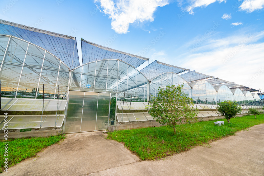 The greenhouse of modern agriculture is under the blue sky and white clouds. The greenhouse of modern agriculture is under the blue sky and white clouds.